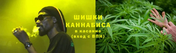 трава Вязьма