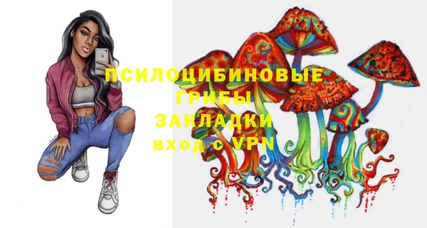Альфа ПВП Вязники