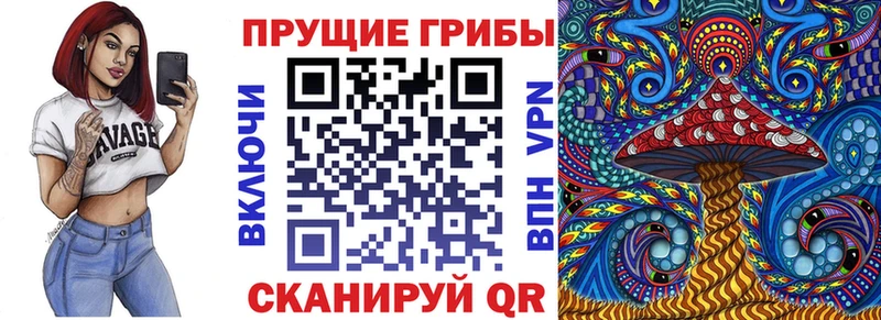 Псилоцибиновые грибы мицелий Афипский